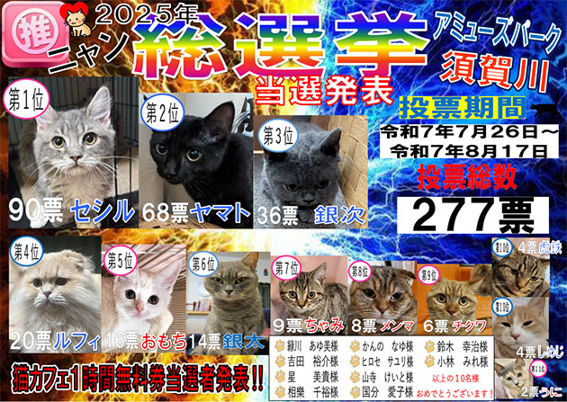猫カフェ