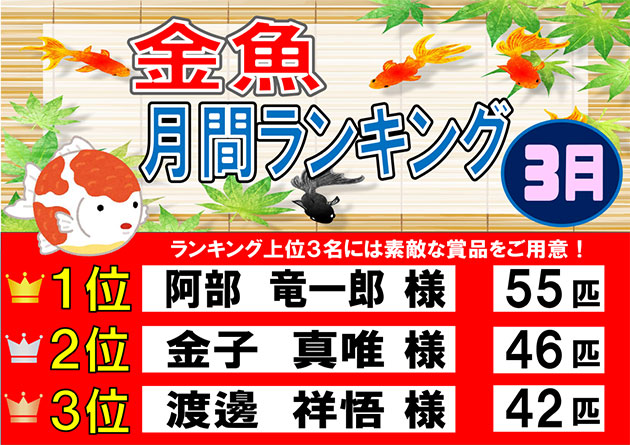 フィッシング